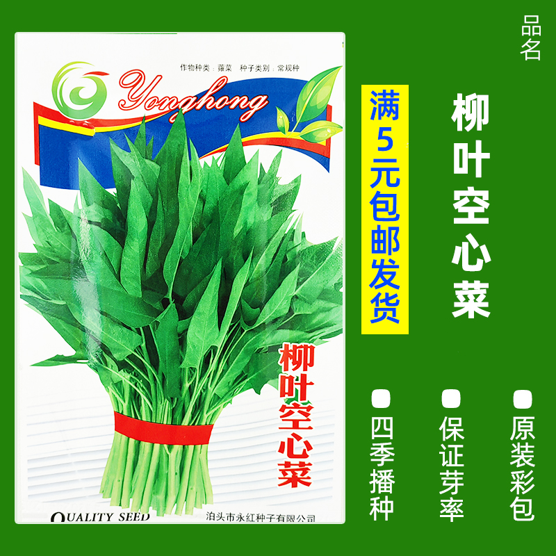 【补贴10%】四季蔬菜种子青菜香菜白菜生菜小葱黄瓜阳台盆栽香瓜冰糖 B92-柳叶空心菜150粒 均码