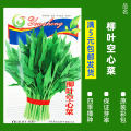 买3发6包四季蔬菜种子青菜香菜白菜生菜小葱黄瓜阳台盆栽香瓜冰糖 均码 B92-柳叶空心菜150粒