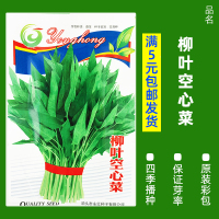买3发6包四季蔬菜种子青菜香菜白菜生菜小葱黄瓜阳台盆栽香瓜冰糖 均码 B92-柳叶空心菜150粒