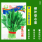 [补贴10%]四季蔬菜种子青菜香菜白菜生菜小葱黄瓜阳台盆栽香瓜冰糖