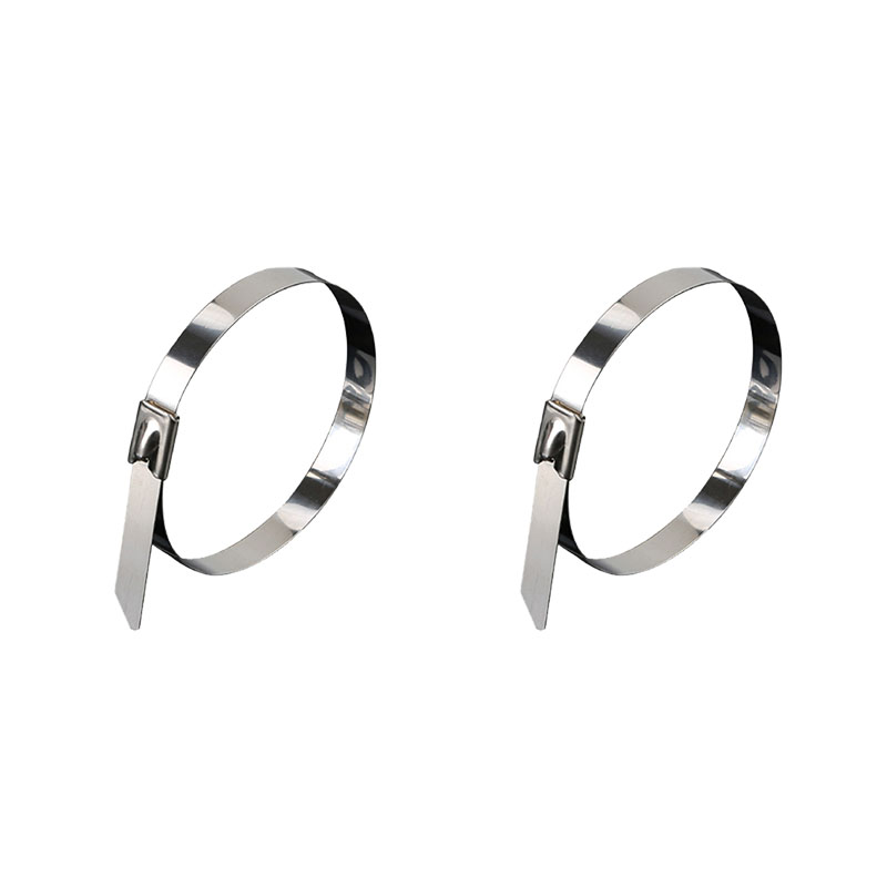 天远鑫景不锈钢扎带16mm*800mm*100/包包高清大图