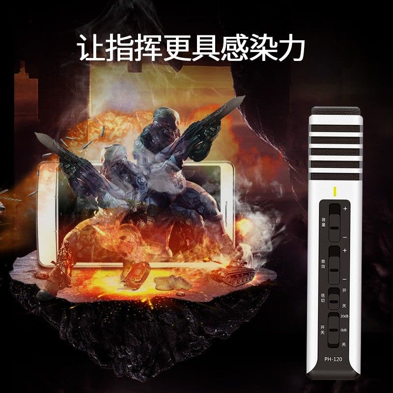 得胜(TAKSTAR)PH120全民K歌手机麦克风专用内置声卡苹果安卓电脑直播通用设备音响一体话筒图片