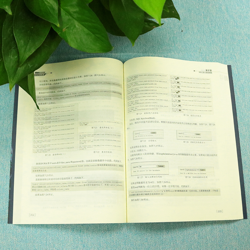 [正版]Web 攻 从入门到 通