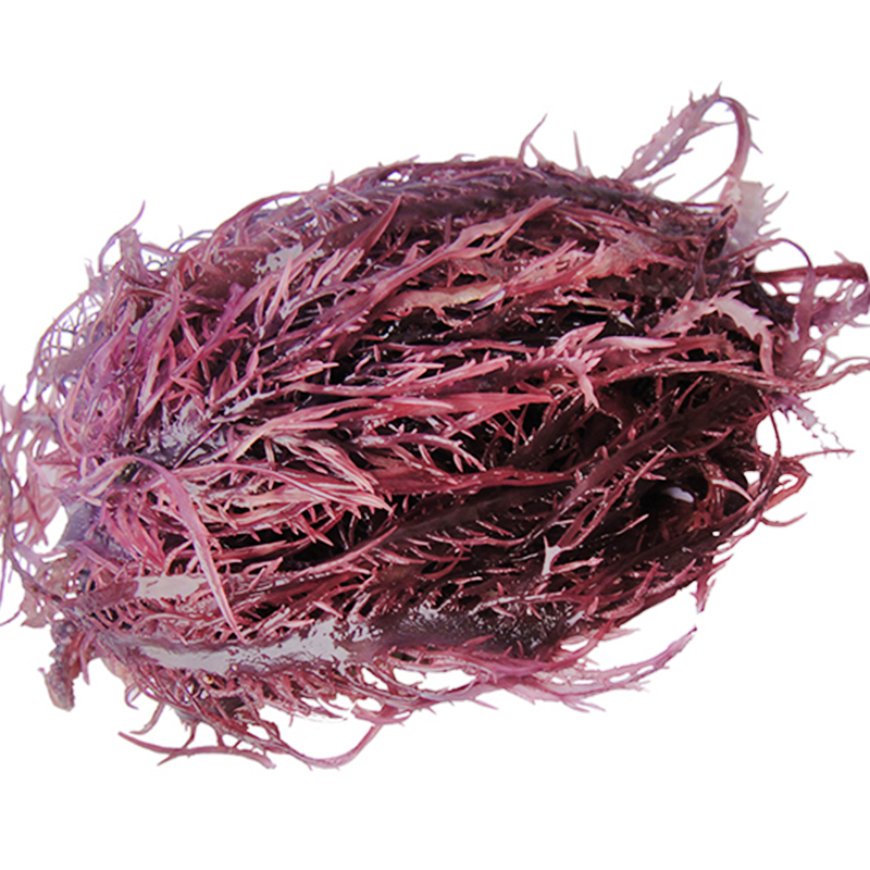 南极冰藻凉拌海藻菜海发菜干紫晶藻龙须菜石花菜300g食用冰藻干货参数
