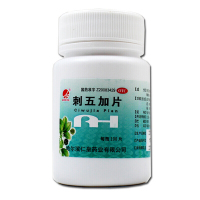 仁皇刺五加片100片健脾体虚乏力食欲不振补脾