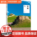 盐池 风物中国志系列中国国家地理宁夏地方志旅游美食滩
