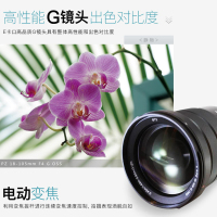 索尼(SONY)E PZ 18-105mm F4 G OSS 标准变焦半画幅微单相机镜头 SELP18105G