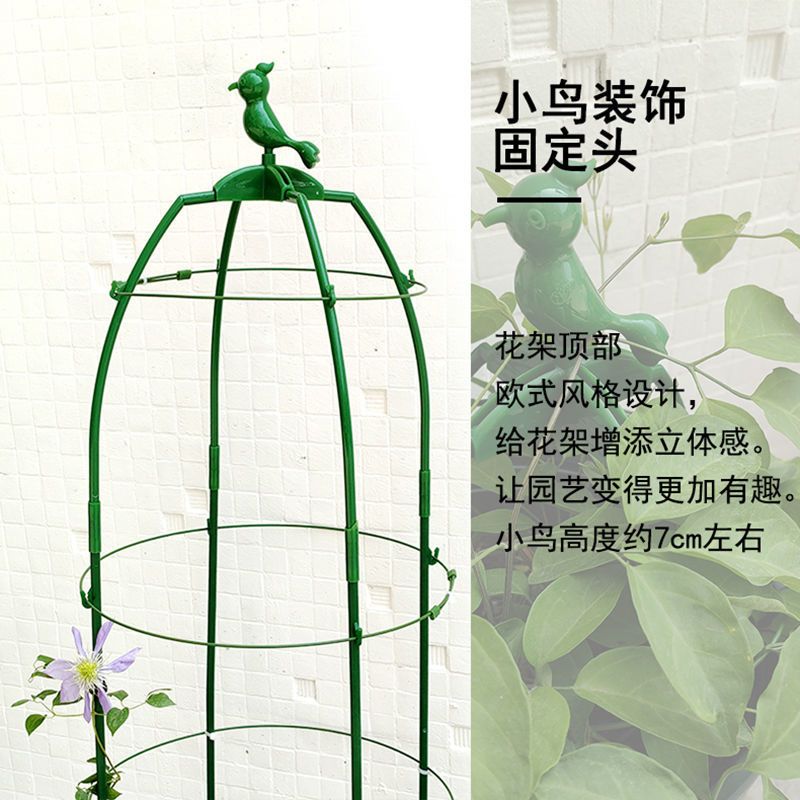 欧式爬藤花支架植物月季铁线莲紫藤支架攀爬花架阳台支撑架园艺