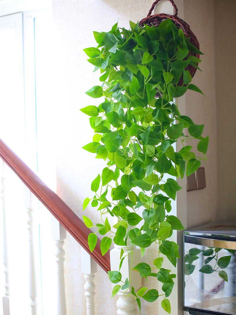 仿真绿萝客厅挂墙绿植壁挂植物装饰垂吊假花藤条室内藤蔓吊兰吊篮