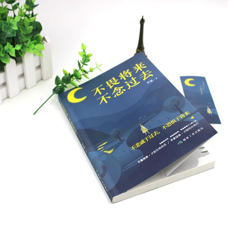 [正版] 不畏将来不念过去 治愈系书籍青春文学正能量励志小说提升自己