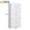帝德龙文件柜档案资料柜WJG-W8 850*390*1800mm
