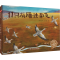 全新正版11只灰雁往南飞(精)9787507221305中国中福会出版社