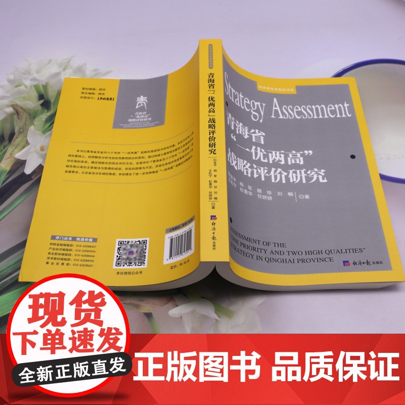 青海省“一优两高”战略评价研究高清大图