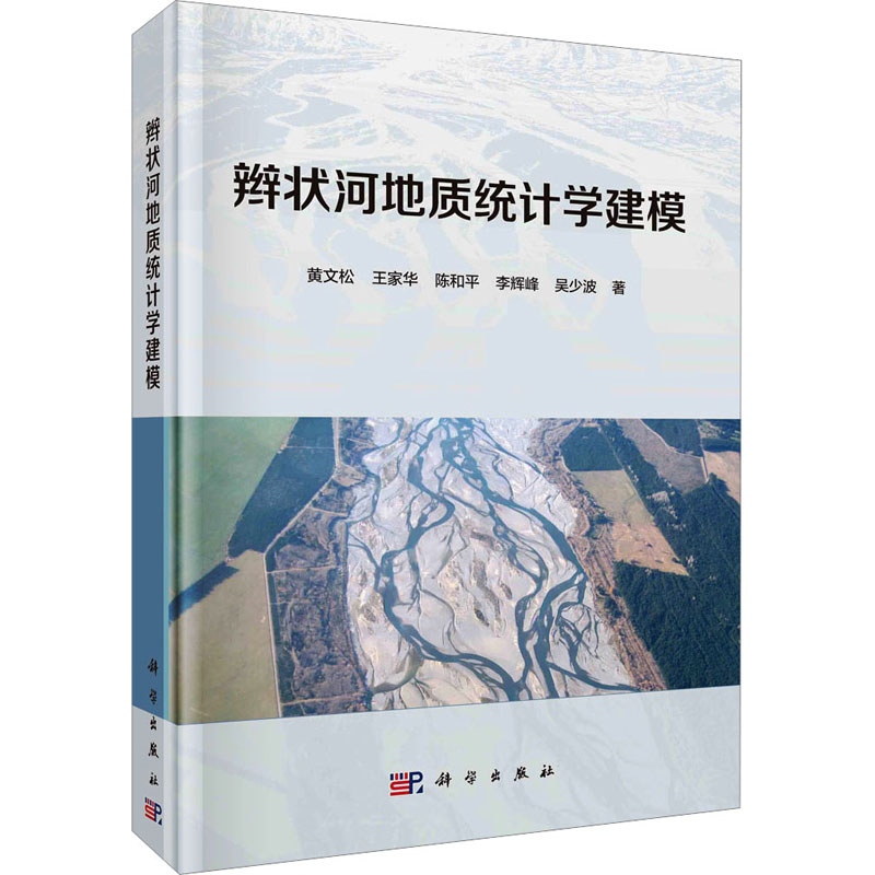醉染图书辫状河地质统计学建模9787030637963