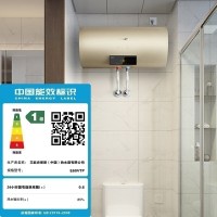 AO史密斯60升电热水器 金圭内胆 晶彩设计 手机预约 双棒双3kW速热 E60VTP APP+语音双智控