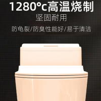 马桶坐便器家用座便器抽水小户型虹吸式普通卫生间防冻坐厕224