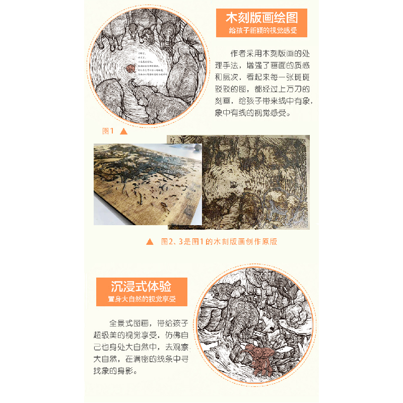 醉染图书小象,加油!9787570119073高清大图