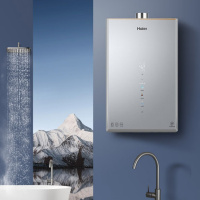 海尔 JSQ25-13FD7FJXGU1 一价全包(含100元安装包)燃气热水器 13升密闭稳燃舱恒温