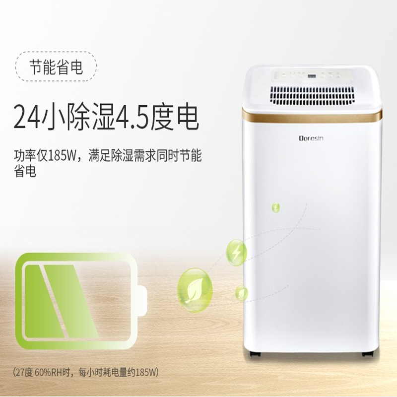 多乐信(DOROSIN) 除湿机 12升/天 家用抽湿机卧室客厅干衣除湿器 ER-1201