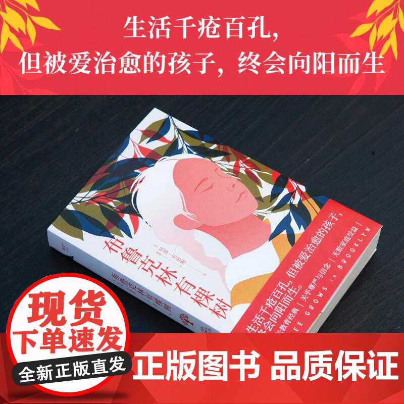 布鲁克林有棵树 贝蒂 史密斯 附人物关系图 成长 教养 尊严 信念 生活千疮百孔 但被爱治愈的孩子 终会向阳而生 果麦文高清大图