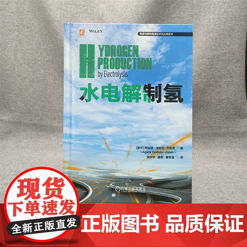 水电解制氢 阿加塔 戈杜拉 乔佩克 燃料电池 燃料电池汽车 氢能 制氢 9787111750482 机械高清大图
