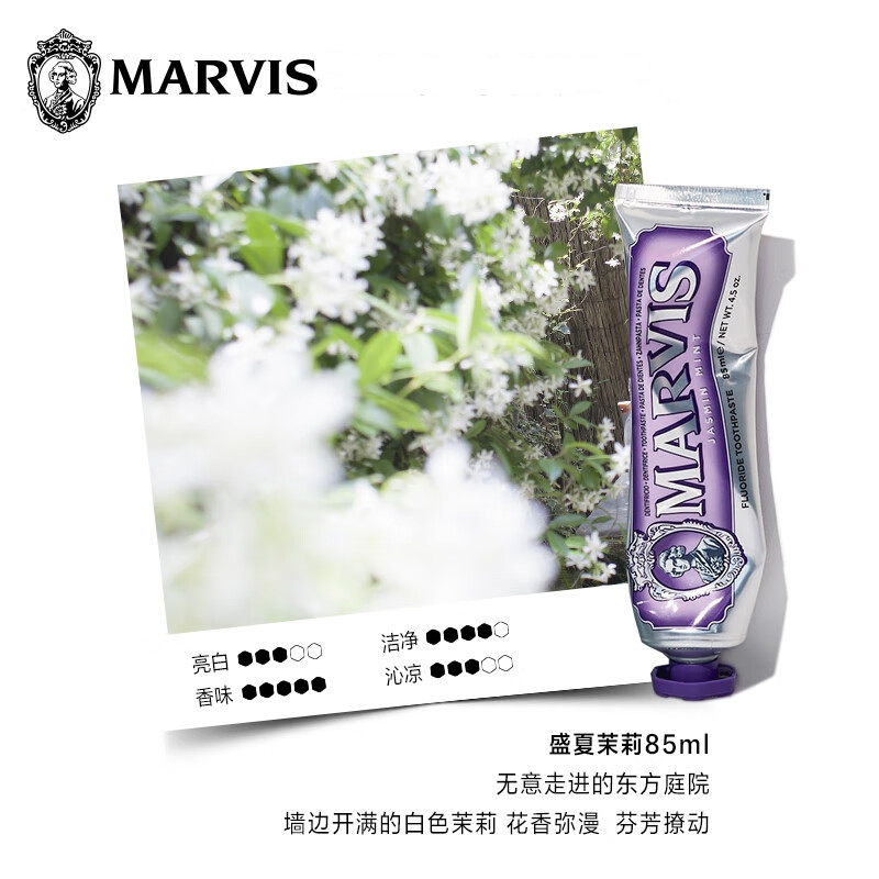 玛尔仕 茉莉薄荷味牙膏(紫色) 85ml