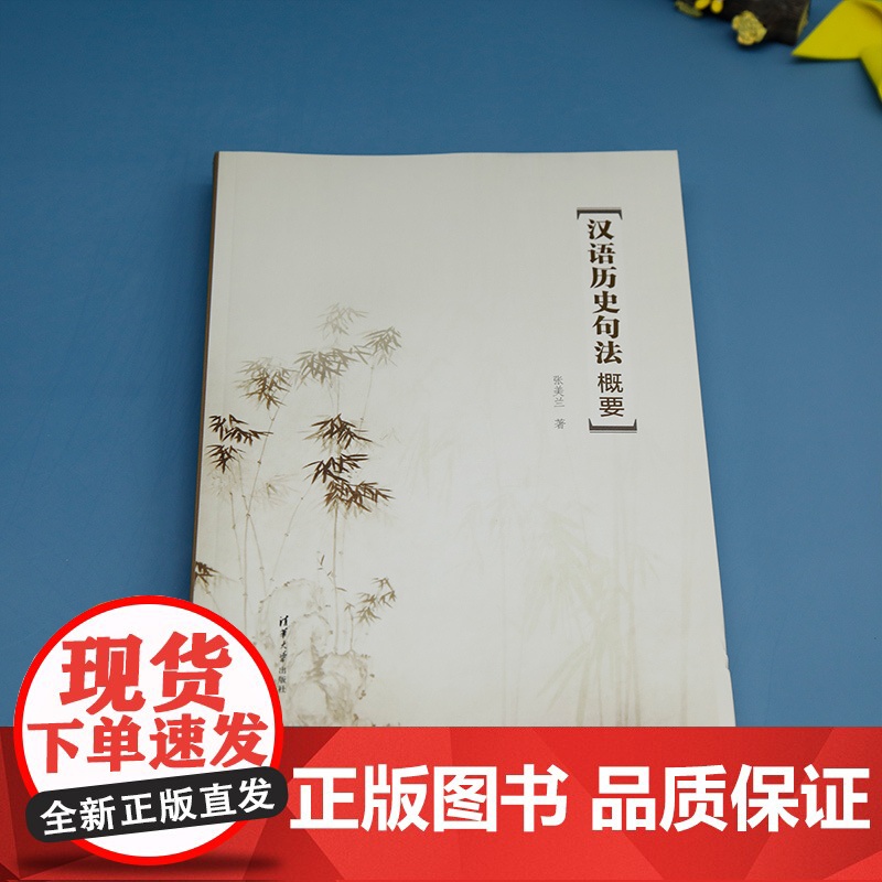 正版新书汉语历史句法概要张美兰 清华大学出版社 汉语史-句法-研究高清大图