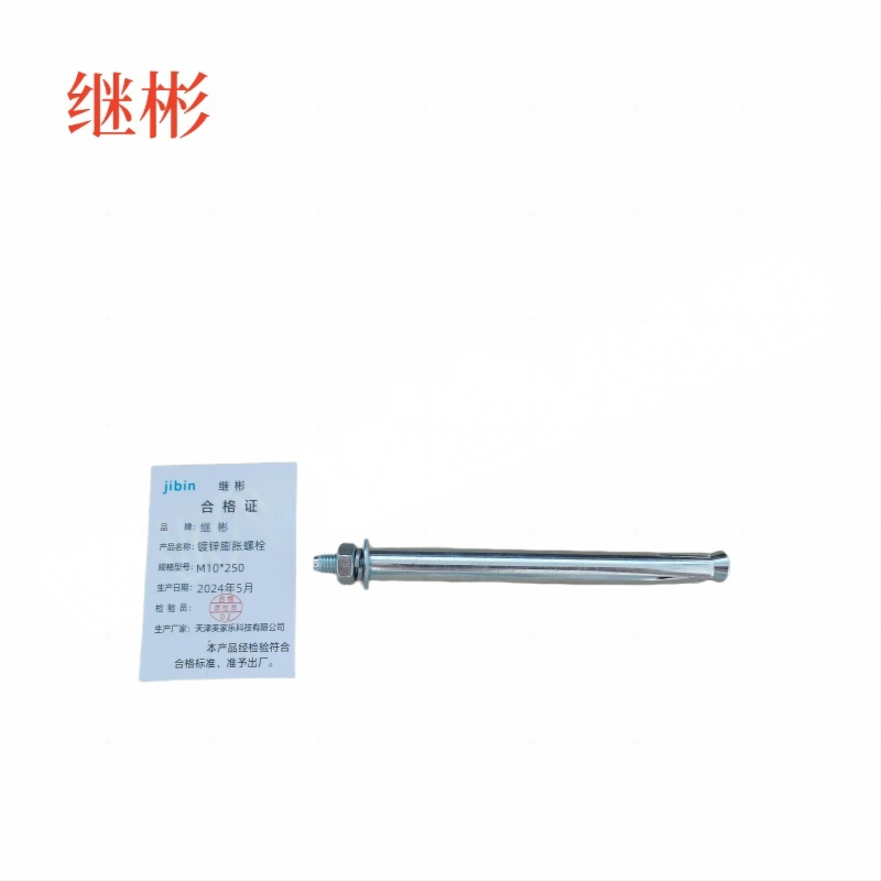 JIBIN/继彬 GB22795-表5 膨胀螺栓 碳钢 镀白锌 M10×250 1个高清大图