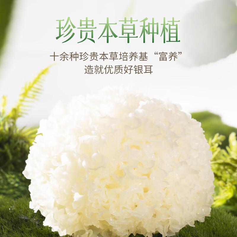 燕之坊古田本草银耳罐装60g 干货碎糯耳免洗免泡易出胶红枣银耳羹冲泡