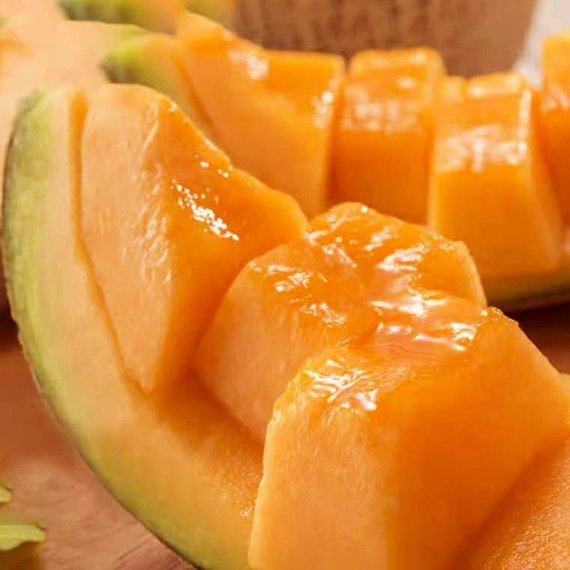 [瓜界甜度王]海南晓蜜哈密瓜 脆甜可口 水分足