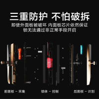 王力智能锁防盗门密码锁家用指纹锁家用防盗门密码智能门锁 黑色（特能锁 不含锁体）ZD135