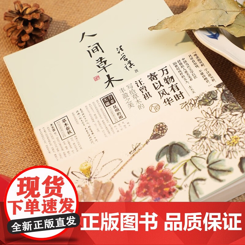 汪曾祺 人间草木 汪曾祺 著 名家作品高清大图