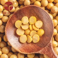 华闽（HUAMIN）黄豆 1kg/袋五谷杂粮 东北粗粮 豆浆原料豆1000g 可发芽小杂粮 非有机非转基因