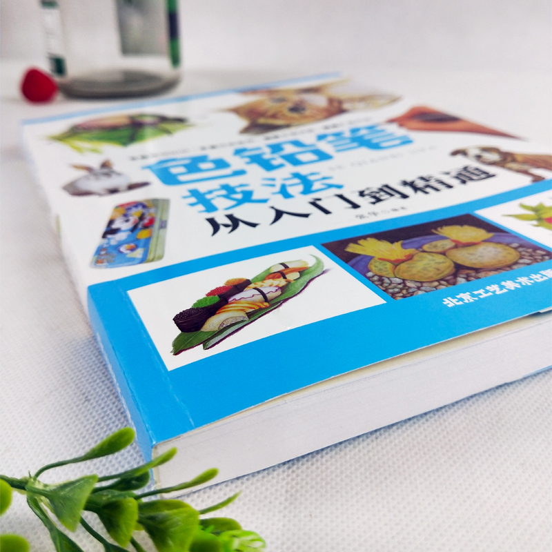 [正版] 色铅笔技法从入门到精通 零基础学画画 色铅笔绘画新手入门教程 教你学绘画速写构图建筑风景彩铅画绘制技巧基础教高清大图