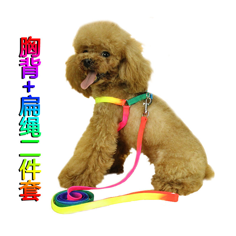 狗狗绳防脱可调节中小型犬遛狗狗胸背牵引绳栓泰迪狗链子宠物用品 小号扁款绳+胸背2件套[7斤以下]