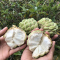 海南三亚牛奶释迦果 新鲜非泰国进口水果番荔枝释迦牟尼佛头果5斤促销