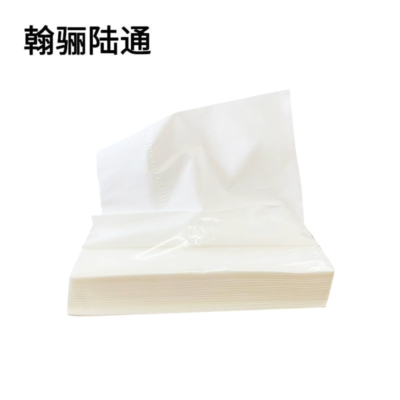 翰骊陆通 抽取式餐巾纸 CZ01 6包 袋高清大图