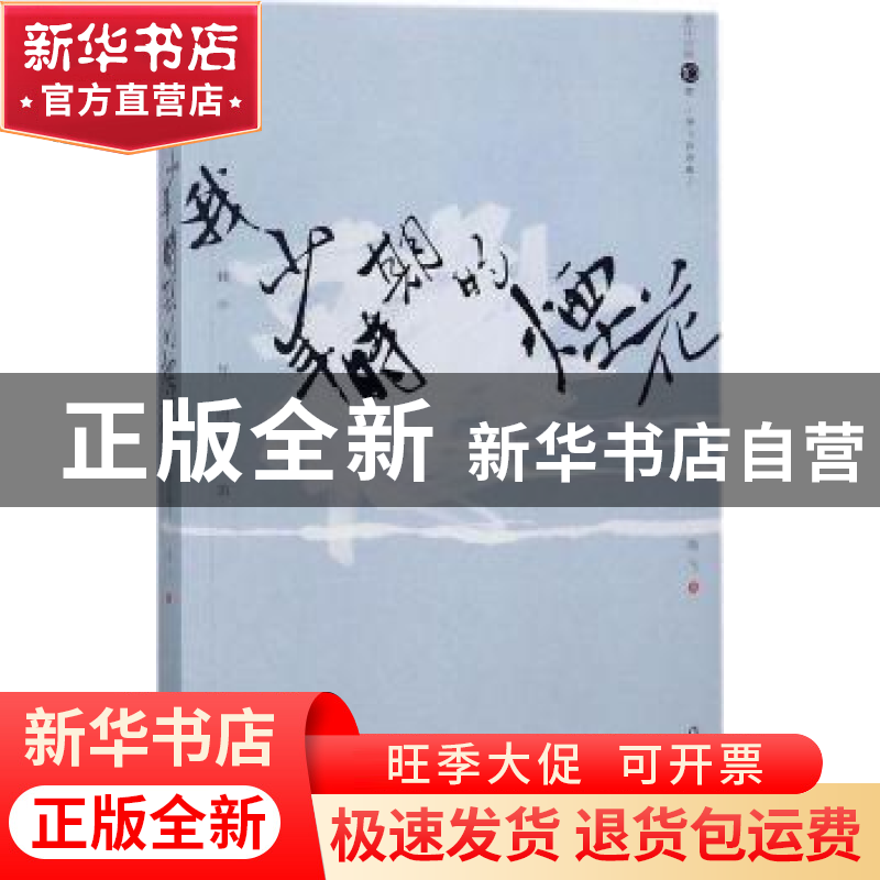 正版 我少年时期的烟花:海飞自选集 海飞著 作家出版社 978750639高清大图