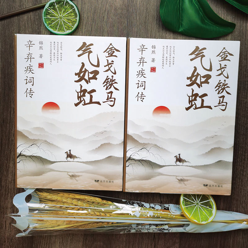 [正版]金戈铁马气如虹-辛弃疾词诗词全集词传鉴赏赏析 古诗词大全集 中国古诗词鉴赏大会 唐诗宋词鉴赏豪放词辛弃疾词集高清大图