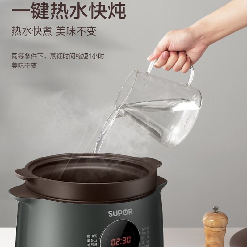 苏泊尔(SUPOR) 电炖锅 4L多功能电炖盅 可预约炖汤锅 热水快炖煲汤锅 煮粥锅 优质紫陶内胆 DG40YC36高清大图