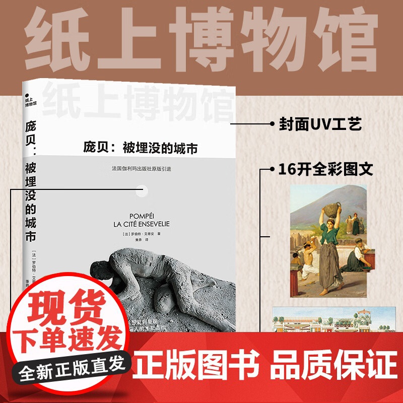 庞贝 被埋没的城市 罗伯特·艾蒂安 著 世界史高清大图