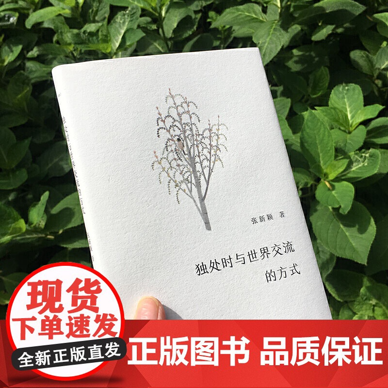 独处时与世界交流的方式(谜文库) 张新颖 华东师范大学出版社 正版书籍高清大图