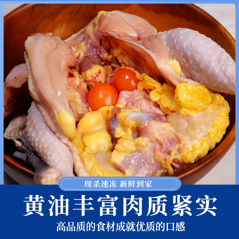 蛋鲜森400天黄油老母鸡1100g±100g/只 顺丰源头直发 黄油老母鸡 1只装高清大图