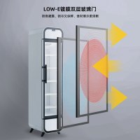 西科FD-LD42 181升 纤细款冷冻柜 便利店商场透明玻璃风冷立展示柜 单门饮料酸奶超市便利店保鲜柜