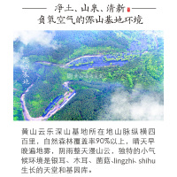 黄山云乐头道破壁有机灵芝孢子粉仿野生林芝袍子粉