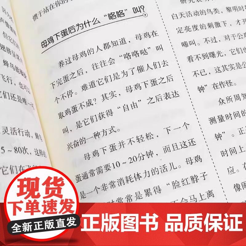 很杂很杂的杂学知识正版生活常识杂学知识科普大百科全集社会知识饮食健康历史心理学趣味杂学知识读物有意思的课外阅读百科全书高清大图