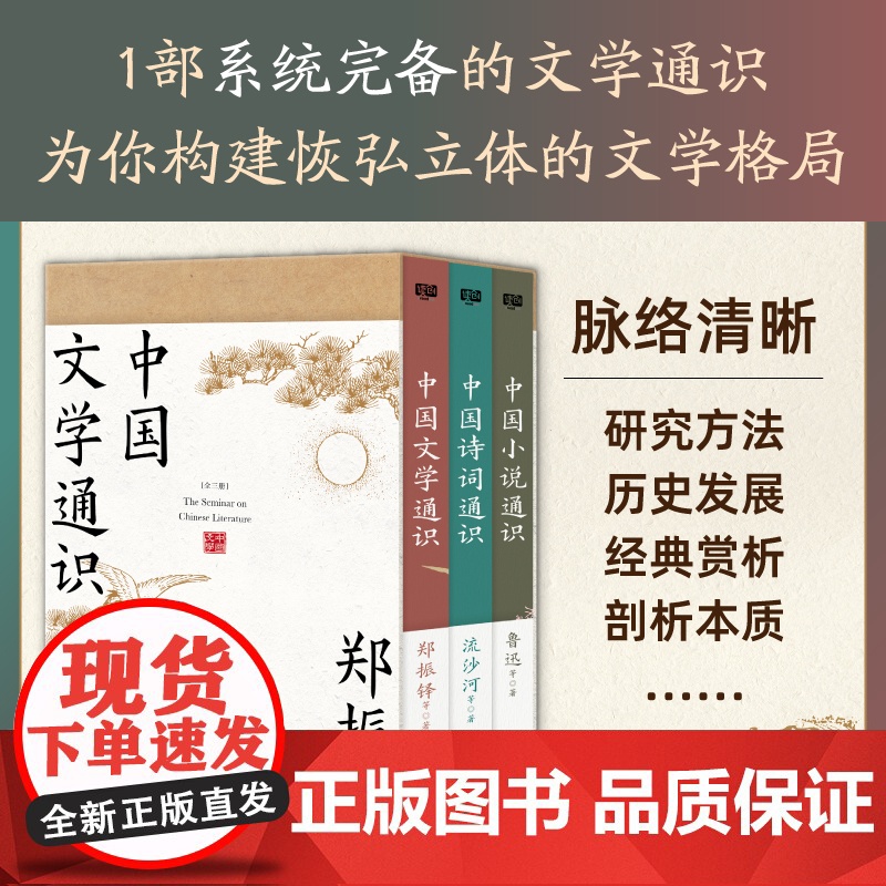 中国文学通识全三册郑振铎14位大师共著读透中国文学的深厚内涵 中国小说通识鲁迅+中国诗词通识流沙河高清大图