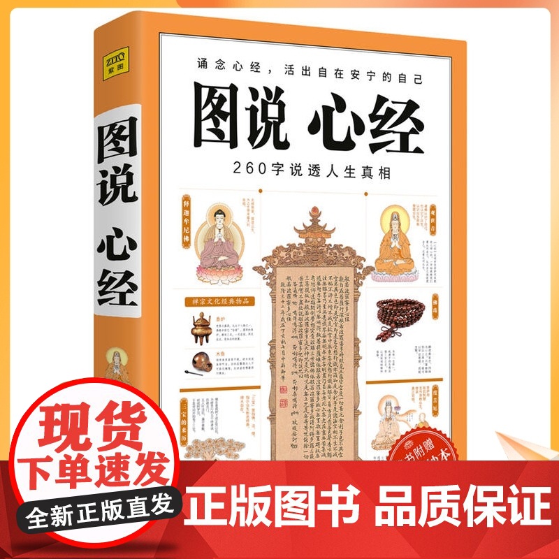 正版 图说心经 说透人生真相 般若波罗蜜多心经大般若经佛法入门书籍图解经典系列佛教金刚经楞严经紫图高清大图