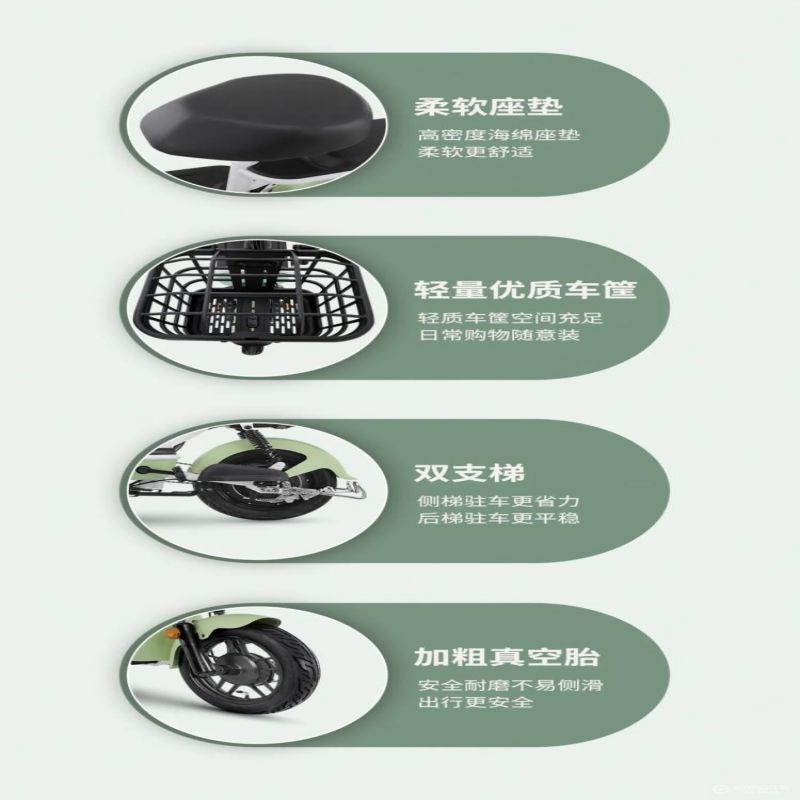 爱玛开心豆系列48V20ah
