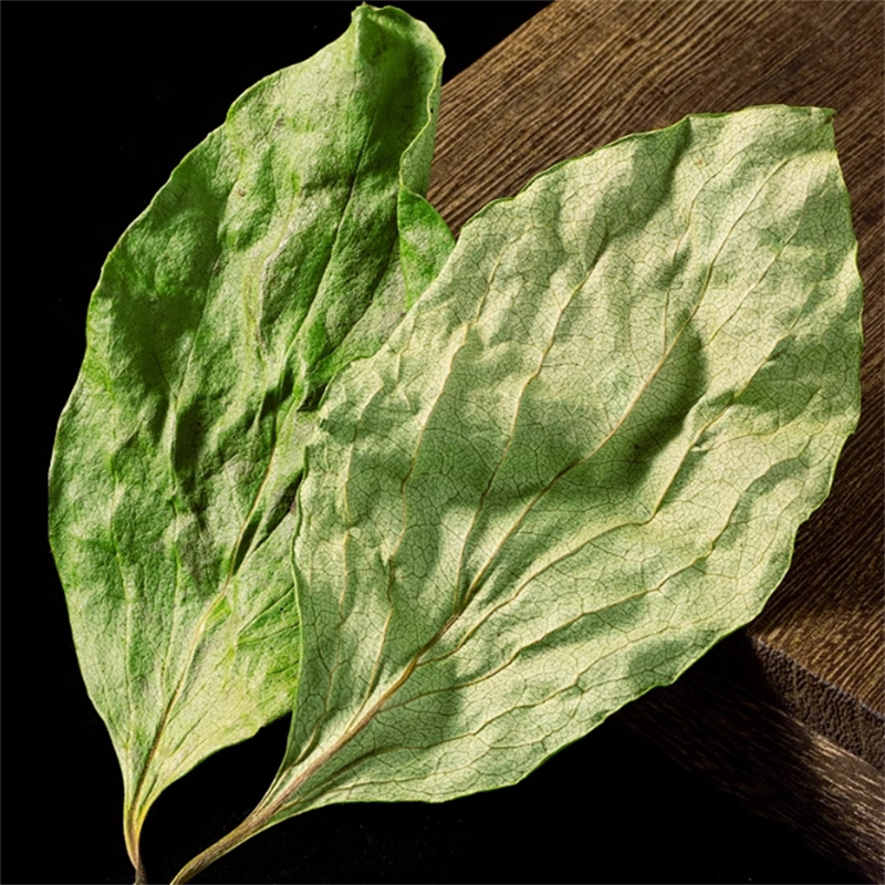 甄选柿子叶100克干货正品新货柿子叶茶货柿叶霜后柿子树叶干货高清大图